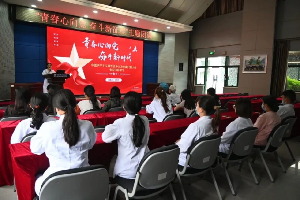 青春心向黨 奮斗新征程——我院團(tuán)支部開(kāi)展主題團(tuán)課